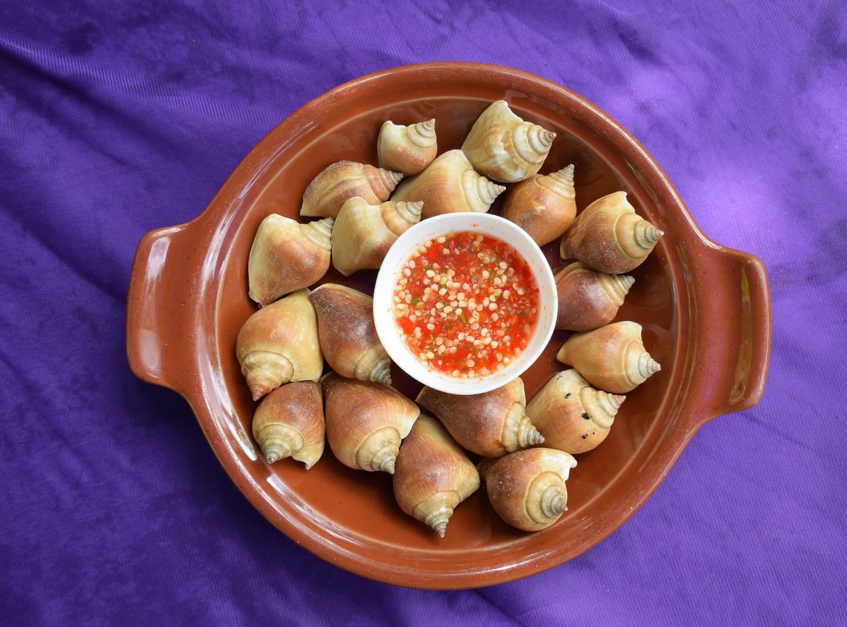 Siput Gonggong: Kenikmatan Laut yang Gurih dan Unik.